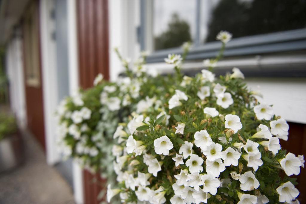 Ekologiska Fru Gran B&B I Tiveden Gardsjo Exterior foto